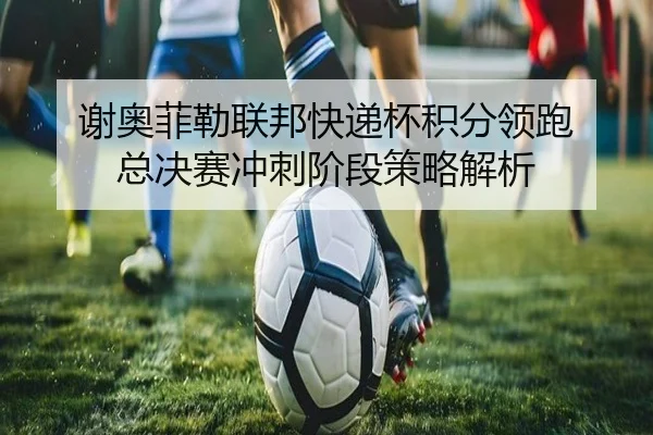 谢奥菲勒联邦快递杯积分领跑 总决赛冲刺阶段策略解析