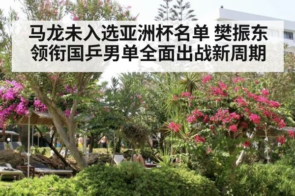 马龙未入选亚洲杯名单 樊振东领衔国乒男单全面出战新周期