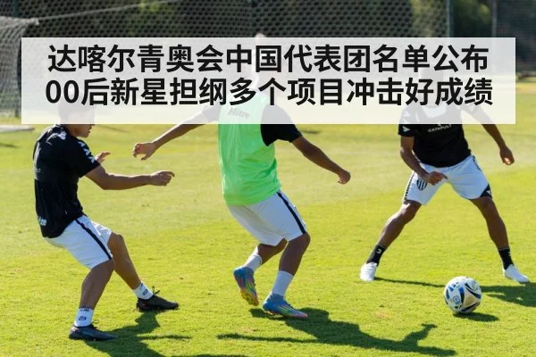 达喀尔青奥会中国代表团名单公布 00后新星担纲多个项目冲击好成绩